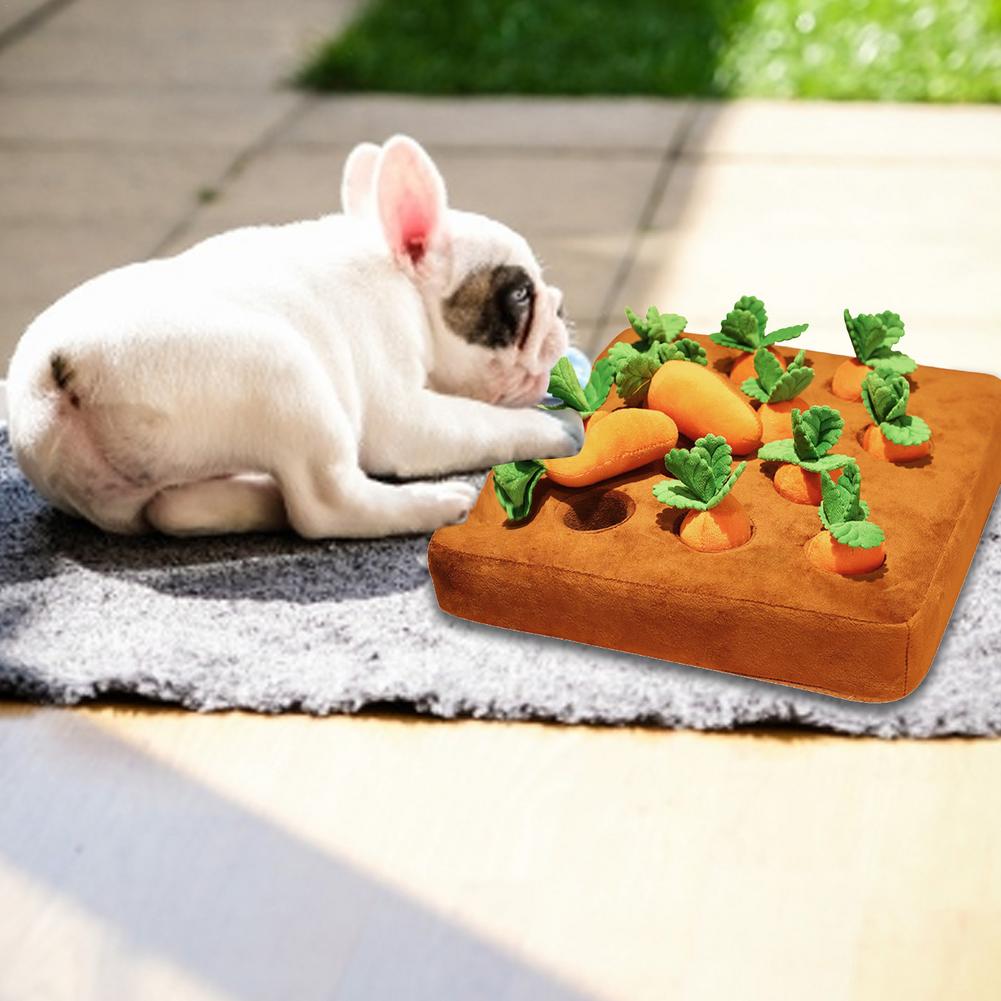 Dog Vegetable Chew and Snuffle Mat.